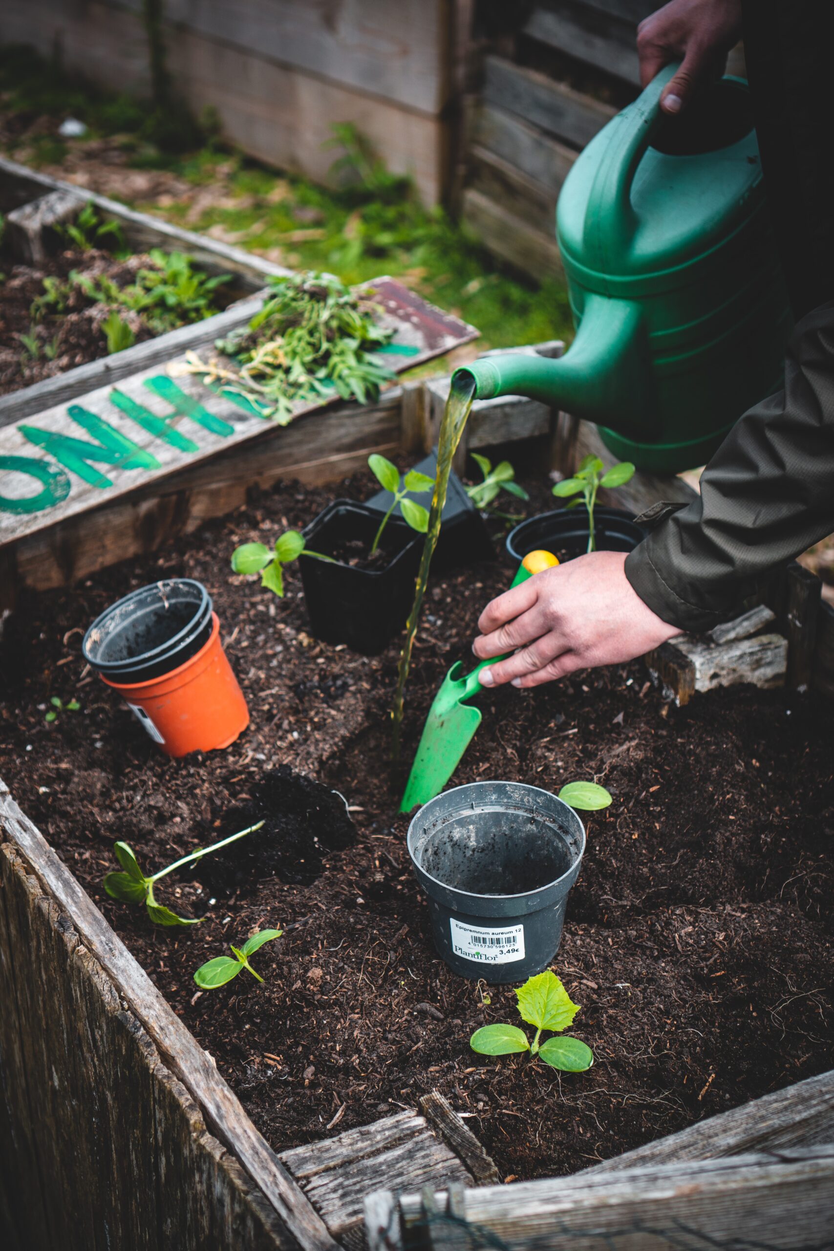 Understanding the Differences Between Container Soil and Raised Bed Soil